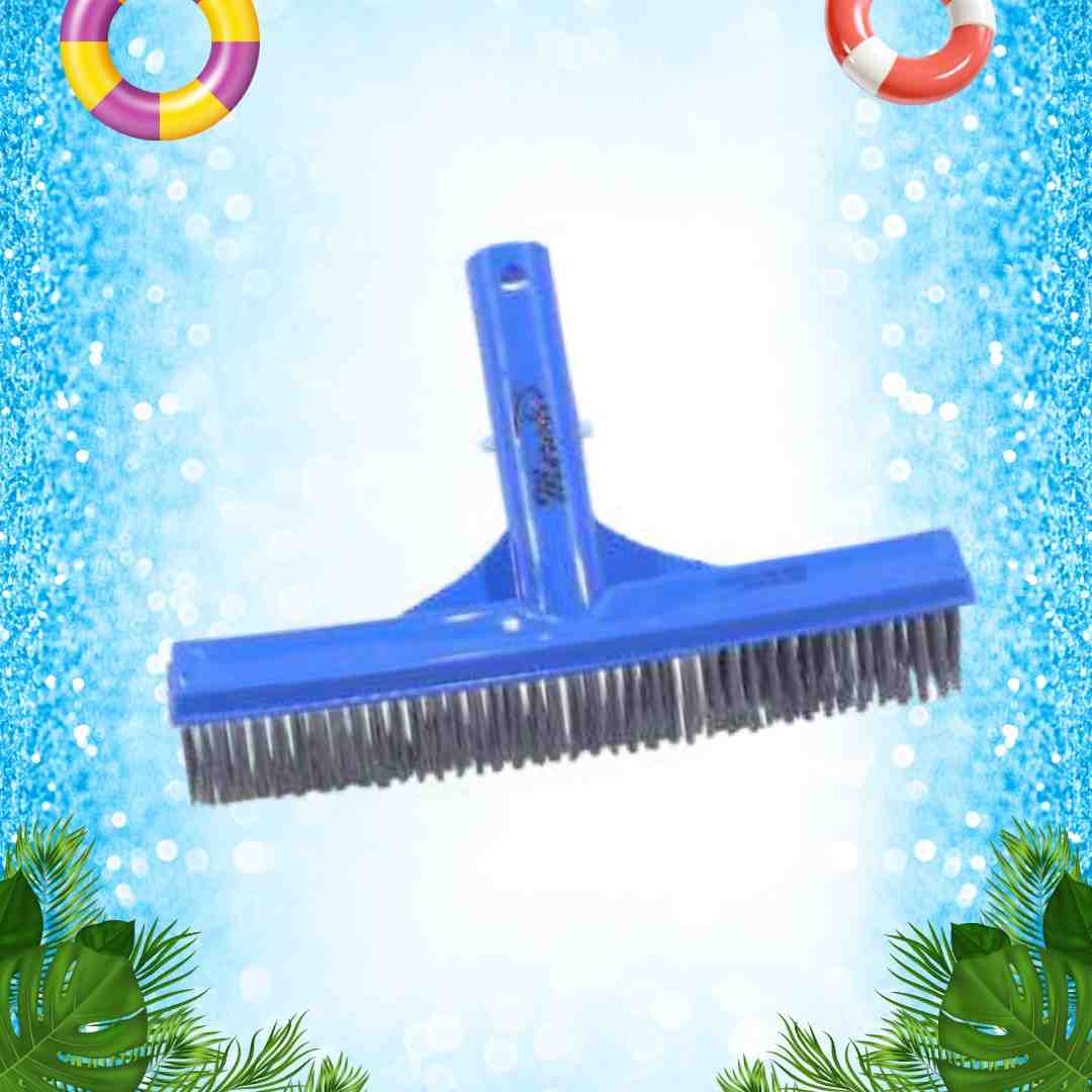 algae brush