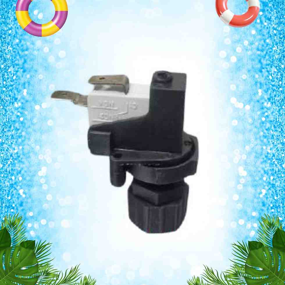 pneumatic switch